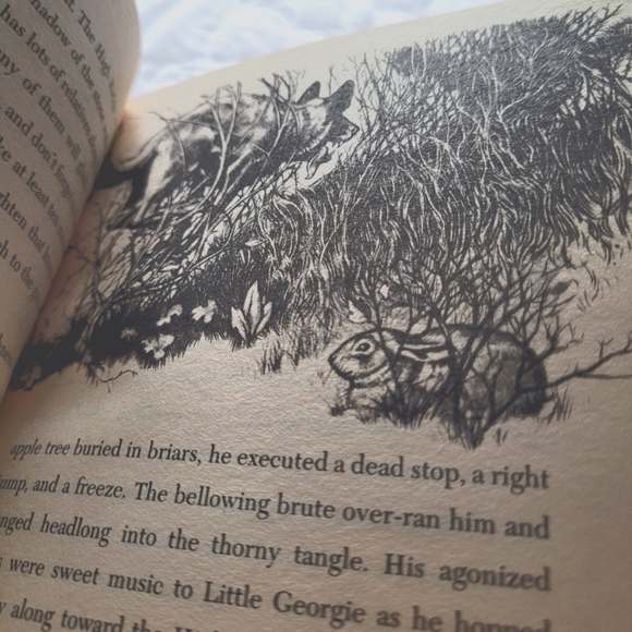 2/$15 🌼 Rabbit Hill - Picture 3 of 4